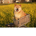Sooo cool