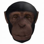Monkey Clothz