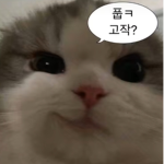 누랑 그룹