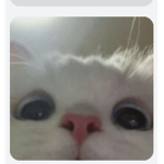 Cute gibby