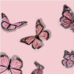 Dreamy Butterfly’s