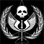 The Fighting Ace's