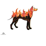 #FIRESPACE