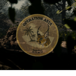 Operation Asta