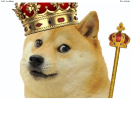 the castle of dogs