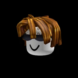 Private icon