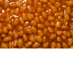 the bean worshippers