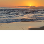 Ocean.Vibezz