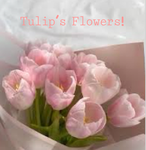 Tulip’s Flowers!
