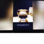 Veshremy and r y t h fans