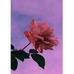 Flower Side For Life !