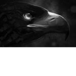 The Offical GamingSquad