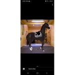 {*} Ruby River Equestrian {*}
