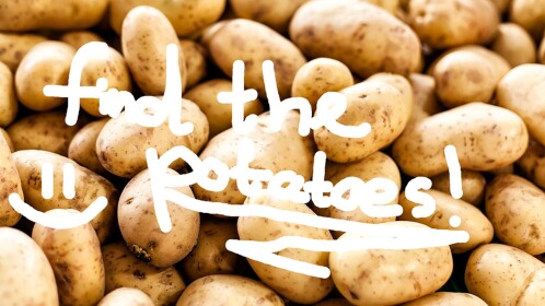 Trova le Patate!