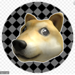 Crazys doges