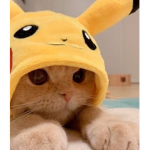 GatoPikachu