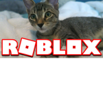 DudeTheCat