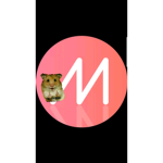 ha햄주토 학사단