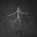 Rootborne