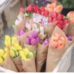 alourlyn's homestore