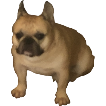 مكان الضياع