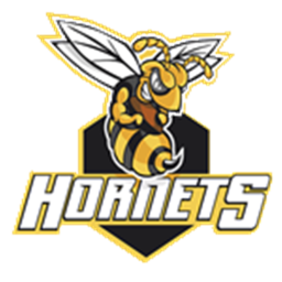 San Jose Hornets