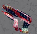 Fourth Gun