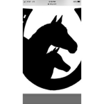 True horses