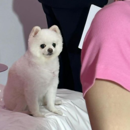 ♡