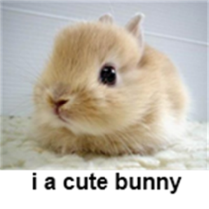 Funny Bunny Roblox decal