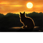 Dawns Setting Sun