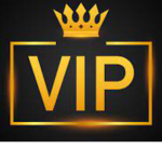 VIP PLAYZ