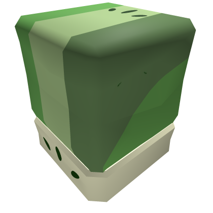 sleeve Roblox item