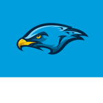 Blue Falcons.