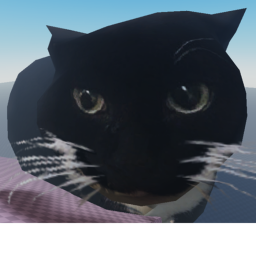 Slide into a Cat