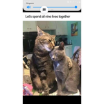 Ikd who can join but it has to be someone I know