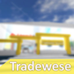 Tradewese Airport || AP