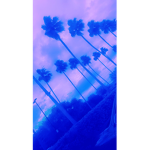 We vibing chill here