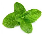 Mints FAN GROUP