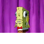 The spongeggy gang