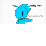 Birdie's fan group