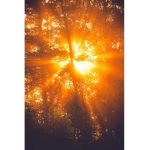 ~sunbeams~ <3