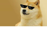 The doge master