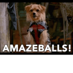 The Raider Dogs