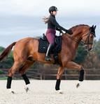 We love mm2 and horses