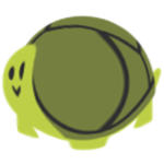 The Kingdom of The Turtles