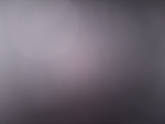 roblox40%