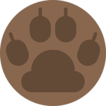 Paw Print Creations