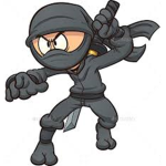 Ninja and night group