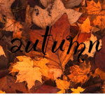 -+ autumn +-